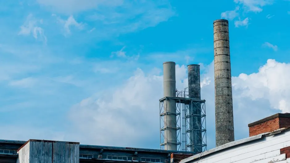 Wire Neo — Chimney repair you can rely on